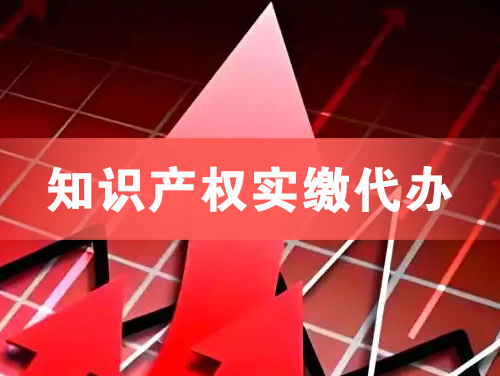 德州知识产权实缴资本代办